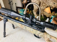 WINCHESTER 1400CS PELLET RIFLE / TPO SCOPE