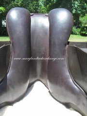 16.5″ SCHLEESE JETE close contact jumping saddle- WOOL FLOCKED- 2023 MODEL!!