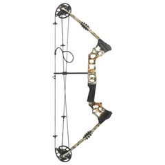 Bowfishing Set 20-70lbs Adjustable Archery Compound Bow Fishing Hunt 320fps R/LH