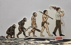 Supreme Evolution Sticker SS26 + FREE SURPRISE