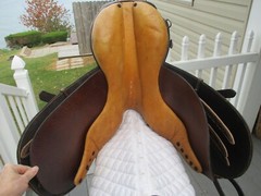 16.5» medium champion leather CC JUMP ENGLISH SADDLE w LEATHERS & D’ANGLE IRONS