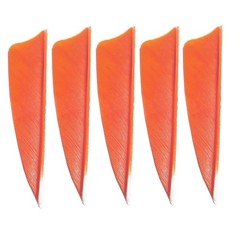 AMEYXGS 50Pcs Arrow Feathers 3″ 4″ 5″ Turkey Feather Fletching Vanes Rignt Wi…