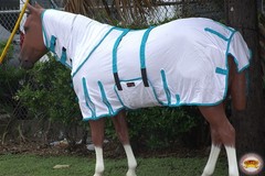 25RS 66-84″ Hilason Uv Protect Mesh Bug Mosquito Horse Fly Sheet Summer