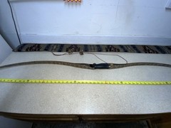 62” Black Widow PLIII Autumn Oak 54# @27”
