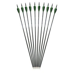 12Pcs 30 Inch Carbon Arrow Practice Hunting Arrow for Compound Bow Recurve Bow