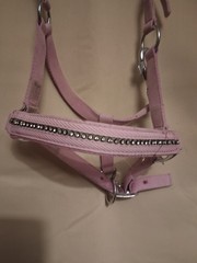 Pink Bling, Padded Nylon Halter, PONY