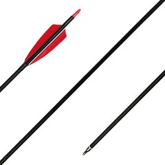 30 Carbon Arrows Hunting Arrows with 4 Shield Shaped Turkey Feathers Spine 400 f