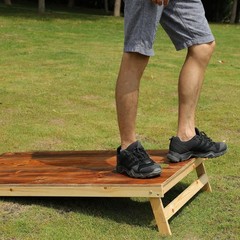 Solid Wood Premium Cornhole Game Set, Bean Bag Toss Game for Tailgate, Outdoor,