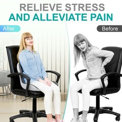 Seat Cushion for Office Chair, Car and Wheelchair Use, with Lumbar Support Pi…