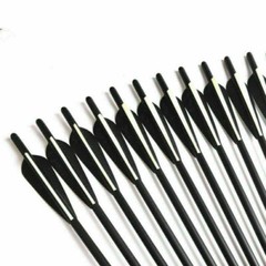 17/20 inch Archery Carbon Crossbow Bolts Half Moon Nock OD 8.8mm Arrows Hunting
