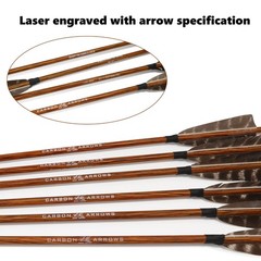 Archery Hunting Carbon Arrows, MS Carbon Fiber Arrow Spine 400 with Screw-in …