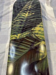 Element Skateboard Deck Gabriel Fortunato Jungle Rare Made In Spain 8” x 31.75”