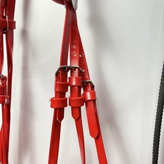 Horse English Tack Soft Biothane Bridle with Free Reins & Loose Ring Bit