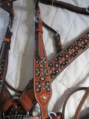Bar H Equine crystal bling Tack Set Bridle, Breast Collar, bit &split reins