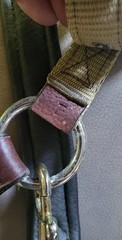 LeMieux Capella Halter – Full