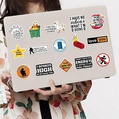 100 Pcs Waterproof Sarcastic Meme Stickers for Adults – Fun Decals Pack