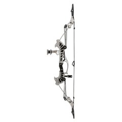 16» Mini Compound Bow Arrows Set Stainless Steel 16lbs RH LH Game Gift Practice