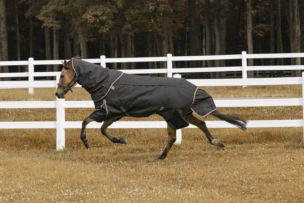 TuffRider All Seasons Blanket 69 Black