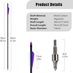 12Pcs 30“ Fiberglass Arrows Spine 500 OD 8mm Archery Plastic Feather F Shooting