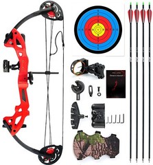 Compound Bow Set 15-29lbs Arrows Archery Hunting Equipment for Teens Kids 260fps