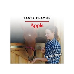 Flavored Bite-Sized Nuggets Horse Treats, 1 Pounds