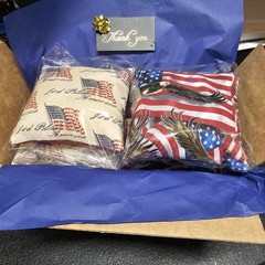 USA American Bald Eagle God Bless America 250th Patriotic Cornhole Bags (8)