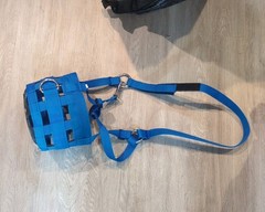 Horse Grazing Muzzle & Anti-Bite Halter, Large Size Blue Nylon