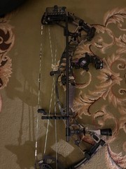 hoyt vtm 34 fully setup ultrarest with fast eddy and the quiver with new string