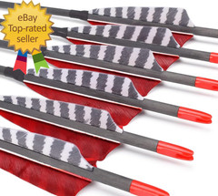 Pure Carbon Arrows 600 700 Spine 30 Inch Turkey Feather Fletching Screw