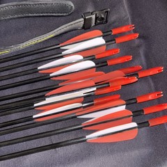 Pandarus Compound Bow Set Archery Kit w/ 12 Arrows Right Handed Pro