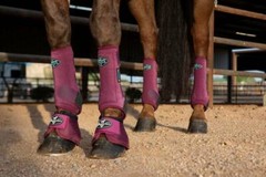 Professional’s Choice 2xCool Horse Sport Boots Value 4 Pack Starburst M SMB Pro