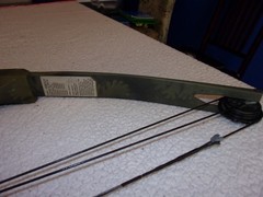 Bear Archery Black Bear Compound Bow