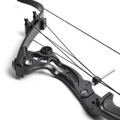 Compound Bow Set 40-55lbs Adjustable 320FPS Fishing Hunt Recurve Archery Shoot
