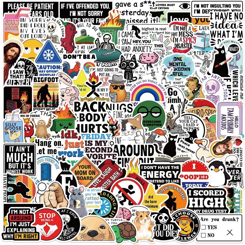 100 Pcs Waterproof Sarcastic Meme Stickers for Adults – Fun Decals Pack