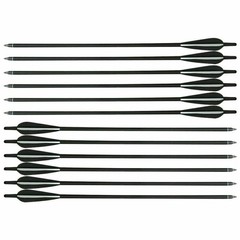 12pcs 20″ Crossbow Bolts Mixed Carbon Crossbow Arrows OD 8.8 Hunting Shooting
