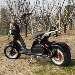 Citycoco 18 Inch Fat tire Electric Scooter 4000W Motor Max Speed 75 KM/H Black