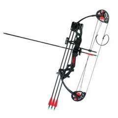 15-29 Lbs Compound Bow Archery for Youth Beginner Right Handed 260 fps 19”-28”