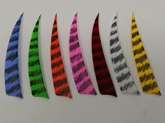 Archery Past 4″ Shield Barred Feathers – 12 Pack, RW or LW