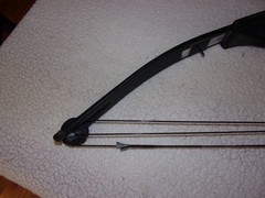 Bear Black Bear Compound Bow