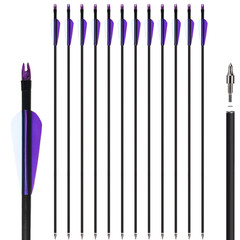 12Pcs 30“ Fiberglass Arrows Spine 500 OD 8mm Archery Plastic Feather F Shooting