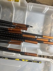 Victory VAP SS Elite V1 250 spine full length 50 gr inserts, 17 arrows!