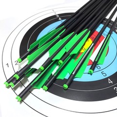 Hunting 20″ Carbon Arrows Crossbow Bolts OD 8.8MM 125 Grain Removable Tips Point