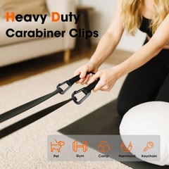 Carabiner Clips, 900 LBS 2.5″ Iron Heavy 10 PCS Silver