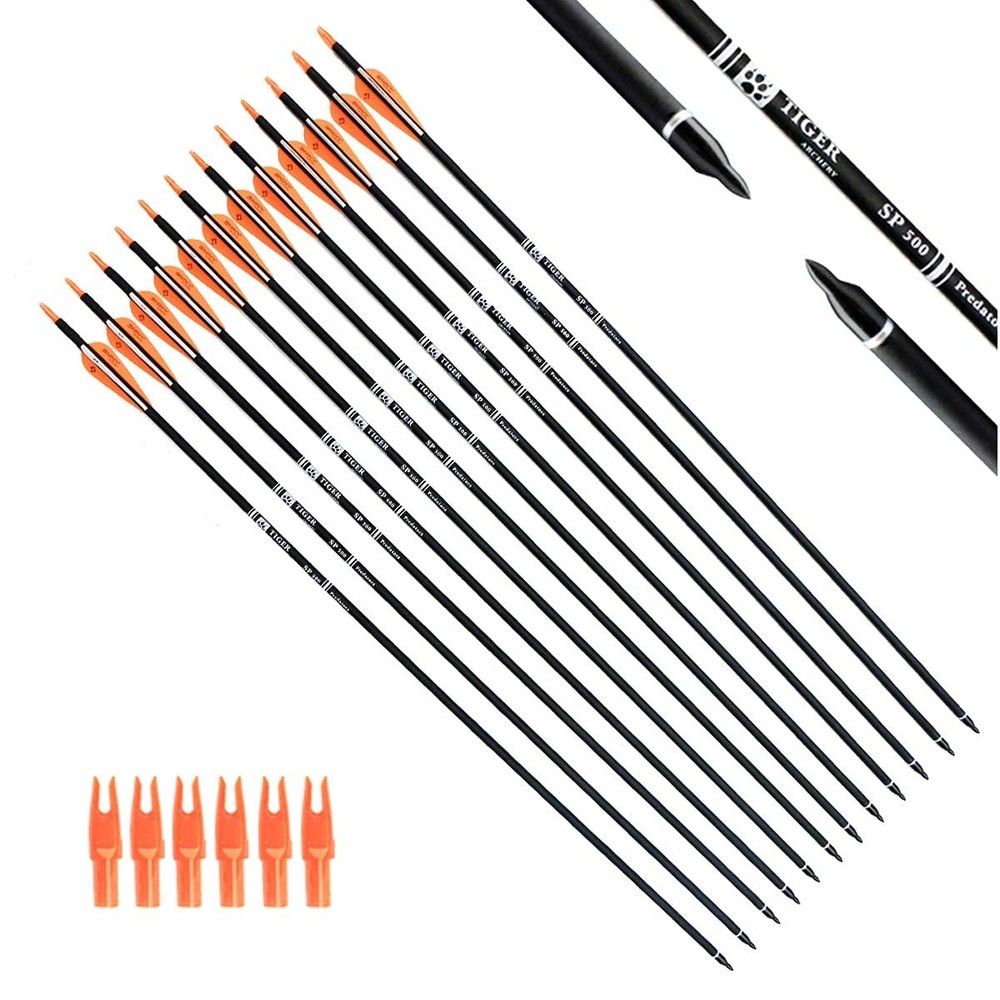 30Inch Carbon Arrow Practice Hunting Arrows with Removable Tips for Compound …