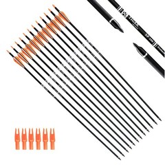30Inch Carbon Arrow Practice Hunting Arrows with Removable Tips for Compound …