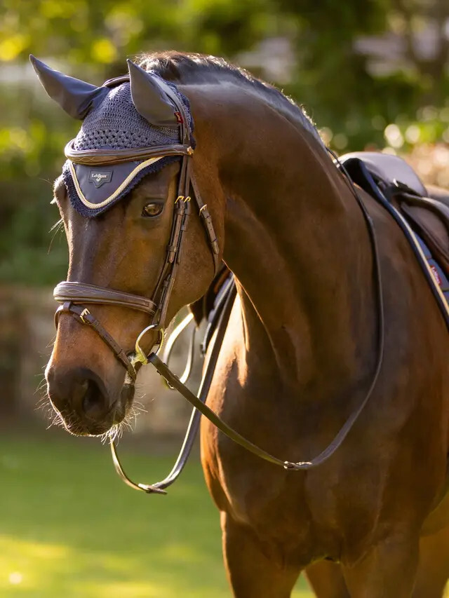 LeMieux Loire Fly Hood – Dusk