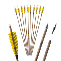 6/12 30″ Carbon Arrows SP500 4″ Feather Compound Recurve Bow Archery Hunting
