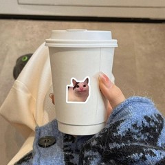 500PCS Cute Cat Meme Stickers Roll Waterproof Vinyl Decals for Bottles Laptop