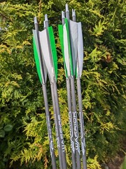 Gold Tip Warrior Carbon Arrows. 700, 600, 500, 400, 340, or 340. 6 Pack.