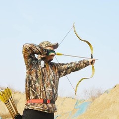 Ameyxgs Camo Carbon Arrow 30 Inch Practice Hunting Arrow Spine 500 4 Inch